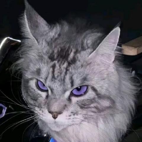 Fadi